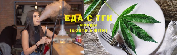 гидра Гусев