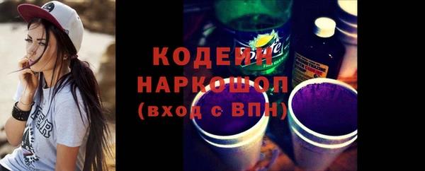 хмурый Алзамай
