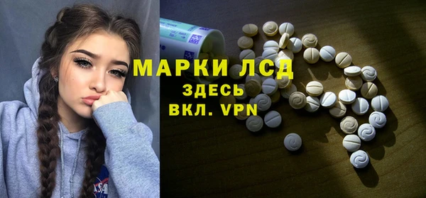 хмурый Алзамай