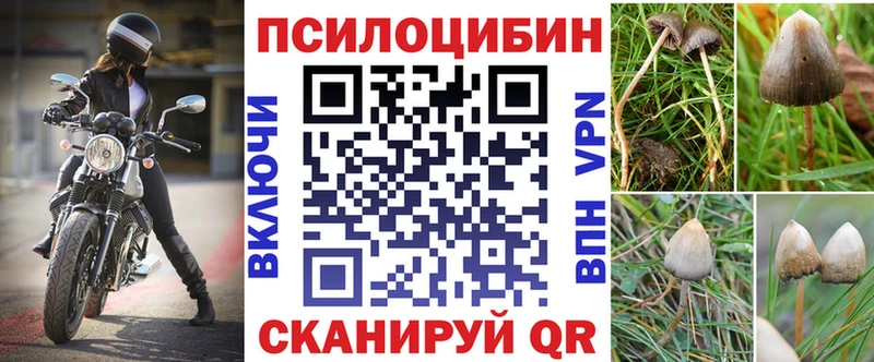 сколько стоит  Березники  blacksprut вход  Галлюциногенные грибы MAGIC MUSHROOMS 